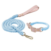 Luxe Royal Pink Leather Dog Rope Leash and Collar Set-16